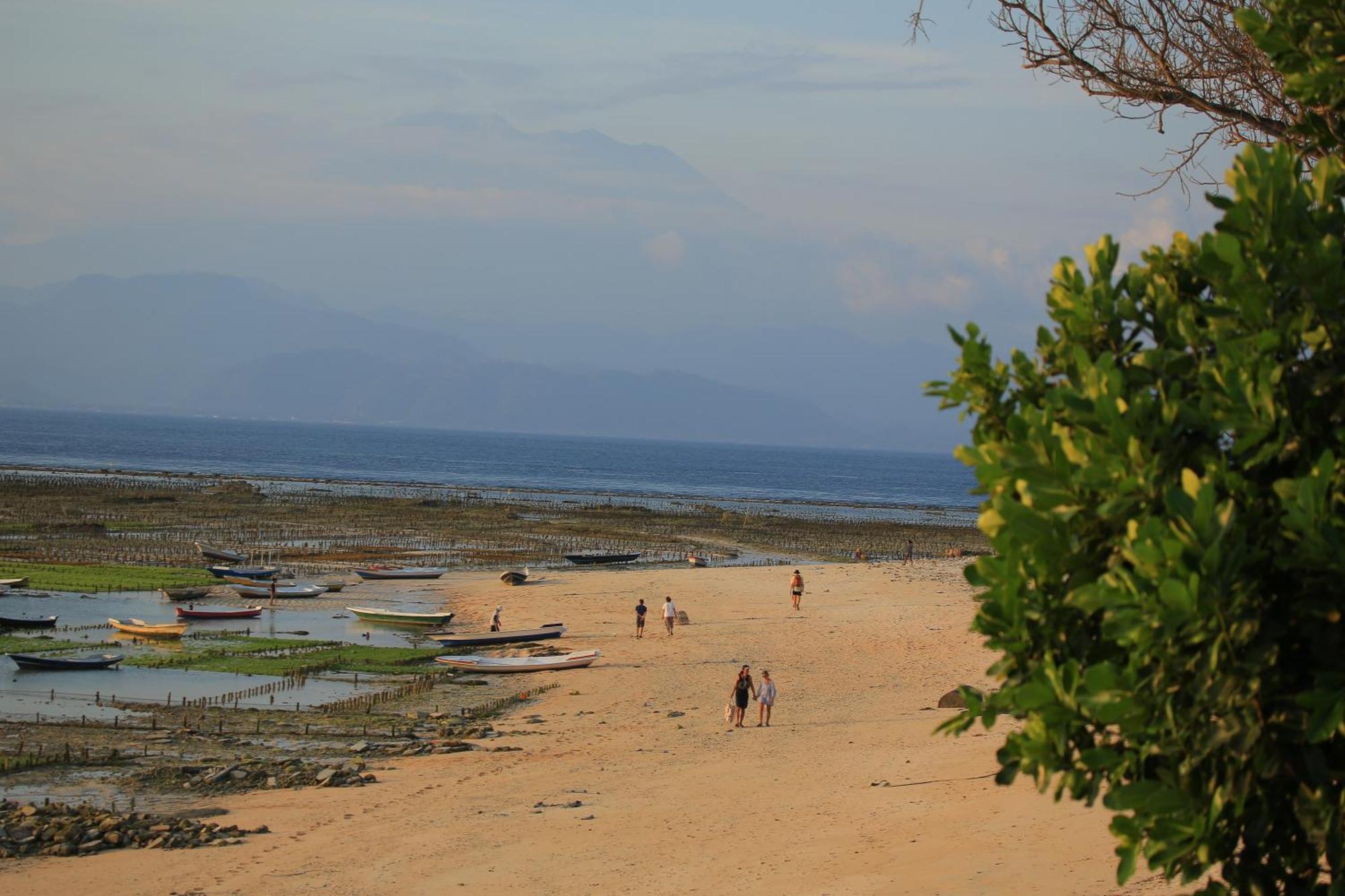 3 Monkeys Lembongan Studio Apartments Bagian luar foto